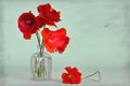 Mothers Day card with red poppies on grunge background Royalty Free Stock Photo