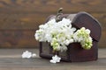 Mothers Day flowers in the wooden vintage chest Royalty Free Stock Photo