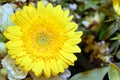 Mothers day flowers and a yellow gerbera flower - stock photo.jpg Royalty Free Stock Photo