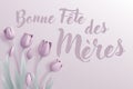 Mothers Day French Bonne Fete Des Meres Design