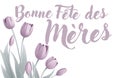 Mothers Day French Bonne Fete Des Meres Design