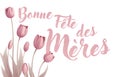 Mothers Day French Bonne Fete Des Meres Design