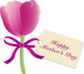 Mothers Day gift of a simple pink tulip tied with silk ribbon and cardboard tag with message of love