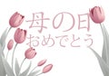 Mothers Day Japanese Haha No Hi Omedeto Design