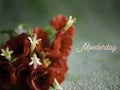 Mothers Day, Moederdag in Dutch. Red flowers, room for copy. Royalty Free Stock Photo