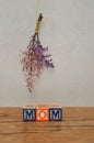 Mothers day Royalty Free Stock Photo