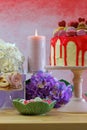 Mothers Day Party Table Royalty Free Stock Photo