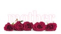 Mothers Day Roses on white background