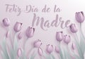 Mothers Day Spanish Feliz Dia De La Madre Design