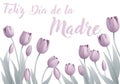 Mothers Day Spanish Feliz Dia De La Madre Design