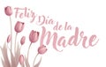 Mothers Day Spanish Feliz Dia De La Madre Design