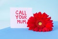 Mothers day Text Call your mum sticker and red gerbera flower modern on minimal layered paper background blue. Social concepts don Royalty Free Stock Photo