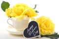 Mothers Day yellow roses Royalty Free Stock Photo