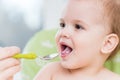 Mothers feeding the baby with cottage cheese