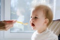 Mothers feeding the baby with cottage cheese