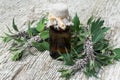 Motherwort (Leonurus cardiaca) and pharmaceutical bottle