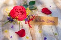 Mothes day greeting card with german word, Vielen Dank, means many thanks