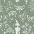 Moths, butterfly and grass seamless pattern. Hand-painted texture with Botanical elements: plants, flowers, grass, berries, fern,
