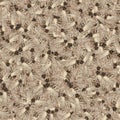 Moths photo motif random pattern