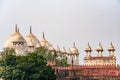 Moti Masjid or Pearl Mosque in Agra Fort, India Royalty Free Stock Photo