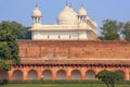 Moti Masjid Pearl Mosque in Agra Fort, Uttar Pradesh, India