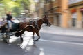 Motion blur horse carriage