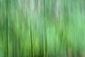 Motion blur image of asparagus stalks. Royalty Free Stock Photo