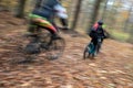 Motion blur of mountain bikers on a forest path Royalty Free Stock Photo