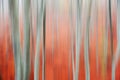 Motion blur of trees Royalty Free Stock Photo