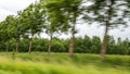 Motion Blur of Trees and Greenery in Forest Landscape Royalty Free Stock Photo