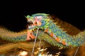 Motion blurr dragon dance Royalty Free Stock Photo