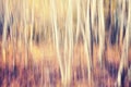 Motion blurred autumn forest, abstract nature background.