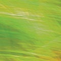 Motion Blurred Bright Meadow Grass Background, Abstract Green, Yellow, Amber Horizontal Texture Pattern Copy Space