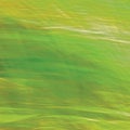 Motion Blurred Bright Meadow Grass Background, Abstract Green, Yellow, Amber Horizontal Texture Pattern Copy Space Royalty Free Stock Photo