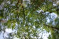 Motion blurred photographic background with trees and other vege