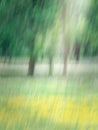 Motion blurred plant forest green and yellow Royalty Free Stock Photo