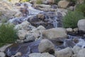 Motion-blurred water in Horshoe Falls in Rocky Mountain National Park