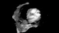 Motion of 4D Ultrasound Echography of baby un mother`s womb. Life concept, scientific discovery