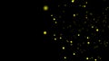 Motion design yellow particles move smoothly over a black background. Motion graphics yellow plexus 4k. Yellow dust