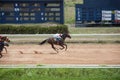 Motion of horse race before finish