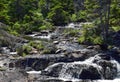 Motion River cascade waterfall Torbay NL Royalty Free Stock Photo