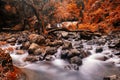 motion waterfall in autumn colors