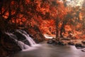 Motion waterfall at rainforest in autumn