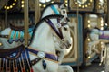 Motioned blurred picture of horse of the carousel with defocused horses and bokeh lights in background