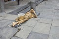 Motionless Living Gold Statue Street Artist Royalty Free Stock Photo