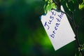 Motivating phrase just breathe. On a green background on a branch is a white paper with a motivating phrase. Royalty Free Stock Photo