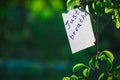 Motivating phrase just breathe. On a green background on a branch is a white paper with a motivating phrase.