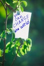 Motivating phrase You can change the world. On a green background on a branch is a white paper with a motivating phrase. Royalty Free Stock Photo