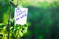 Motivating phrase You can change the world. On a green background on a branch is a white paper with a motivating phrase. Royalty Free Stock Photo