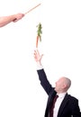 Motivation carrot Royalty Free Stock Photo